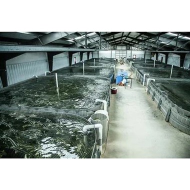 Зграда рибњака